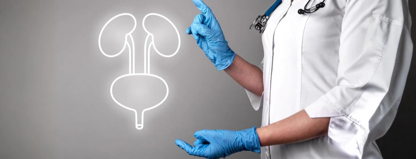 Endo-urology