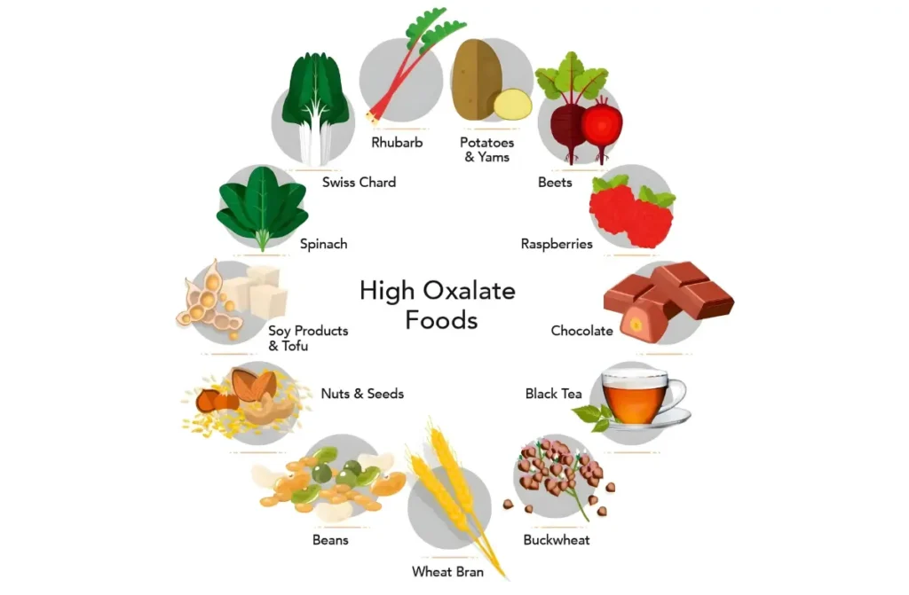 How to Prevent Kidney Stones